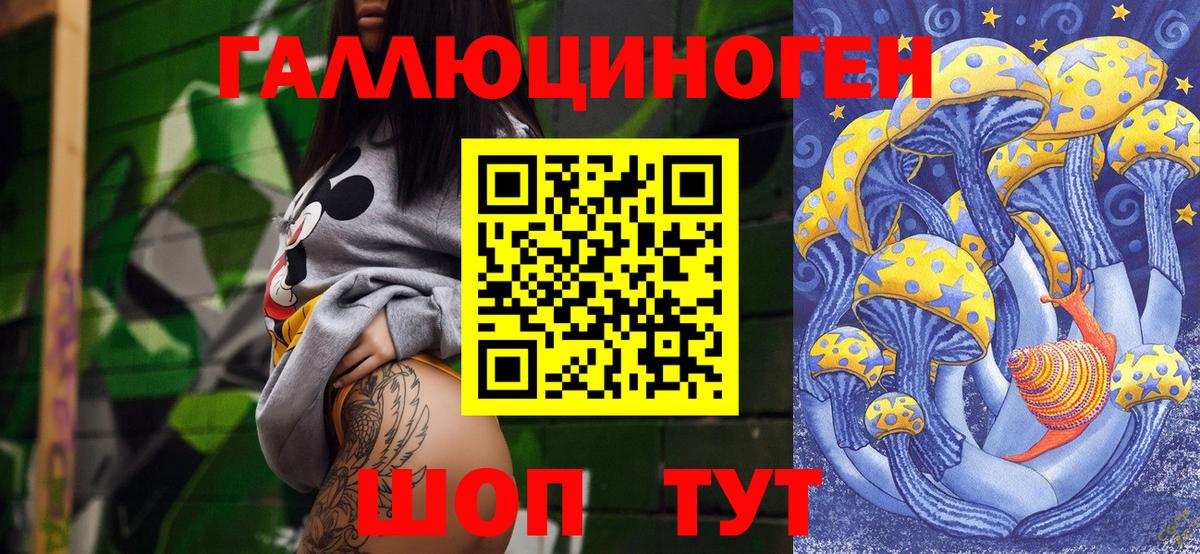 Псилоцибиновые грибы Cubensis Дмитров