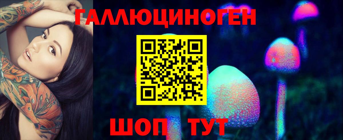 Дмитров  Псилоцибиновые грибы Magic Shrooms  Вход с VPN 